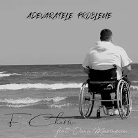 F.charm — Adevaratele Probleme (Feat. Oana Marinescu) — обложка