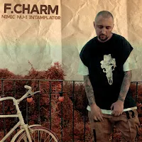 F.charm — Nimic Nu-I Intamplator — обложка